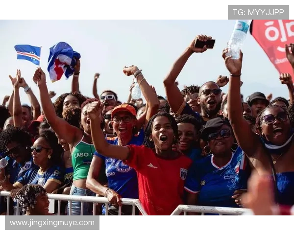 南非2010世界杯：足球激情点燃非洲大陆的精彩赛事回顾