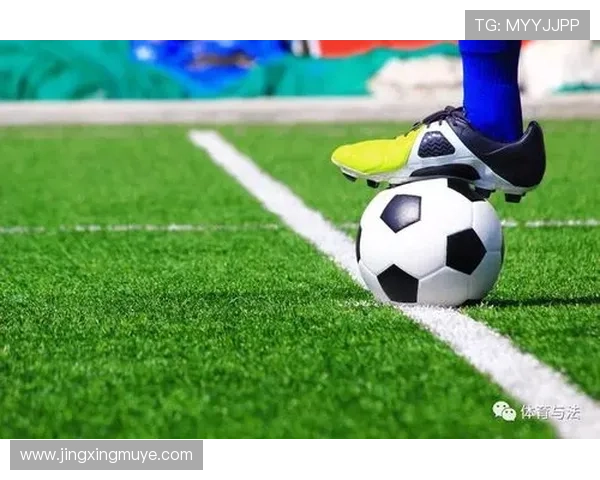 巴尔韦德青训故事解读 巴尔韦德青训故事解读