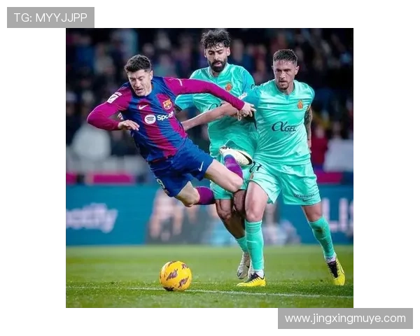 莱万与范尼:超级射手对比,全能中锋与禁区之王的差异何在 莱万与范尼:超级射手对比,全能中锋与禁区之王的差异何在